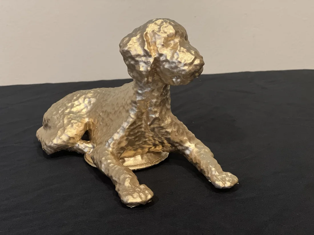 A close three-quarter view of the goldendoodle’s head and shoulders.
