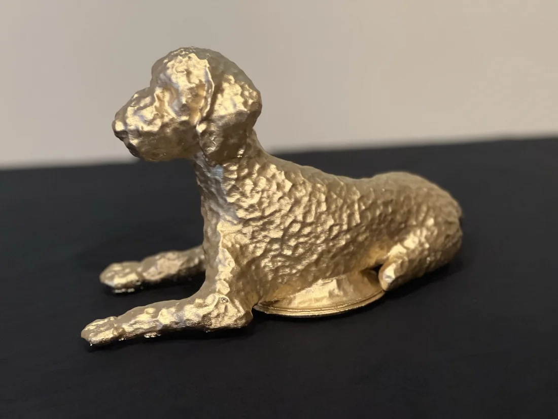 A finished goldendoodle commission from the studio.
